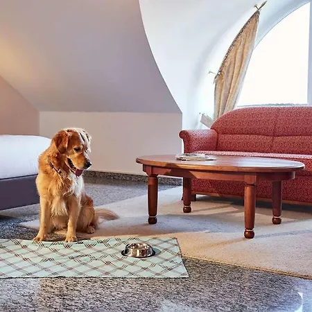 Lindner Hotel&spa Binshof Hotel Speyer