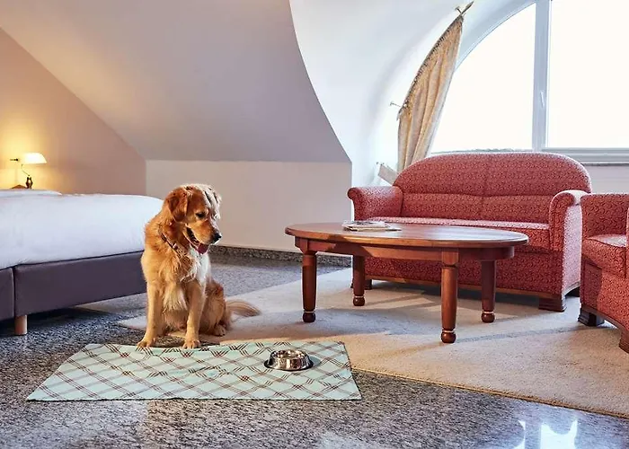 Lindner & Binshof ホテル スパイヤー